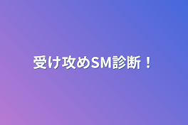 受け攻めSM診断！