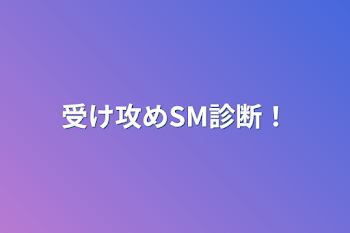 受け攻めSM診断！