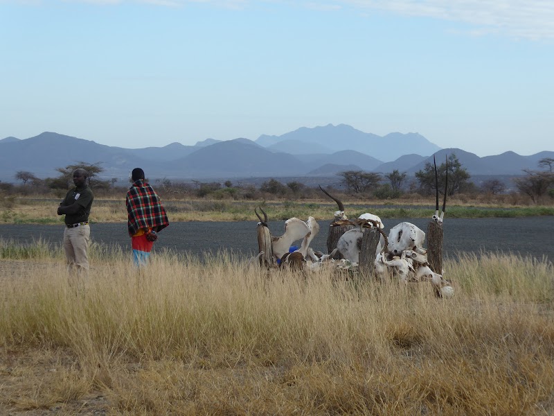 NOS VAMOS A MASAI MARA - Un poquito de Kenia: Lagos Naivasha y Nakuru, Samburu y Masai Mara (4)