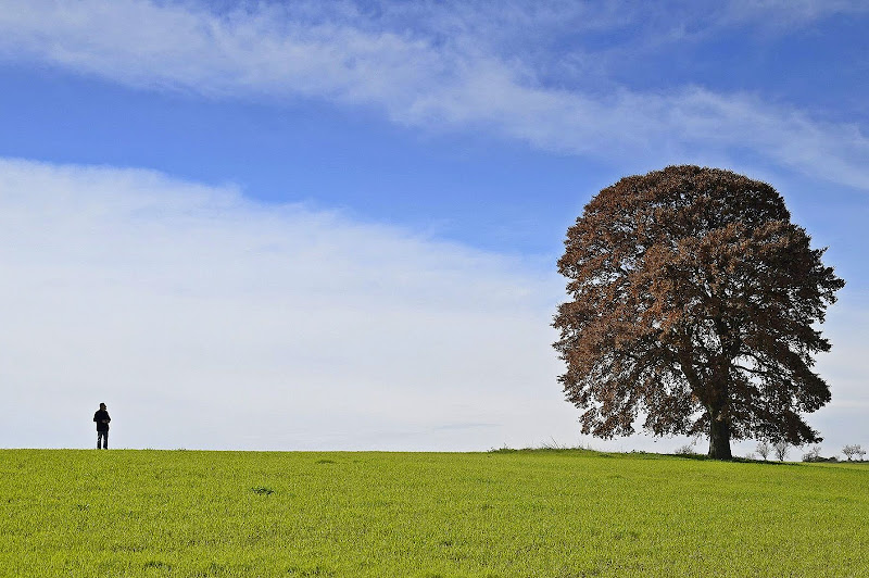 La bella natura di Luciano Fontebasso