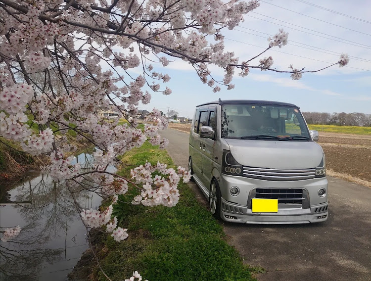 の投稿画像71枚目