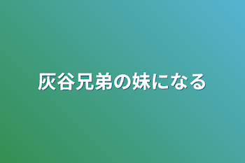 灰谷兄弟の妹になる