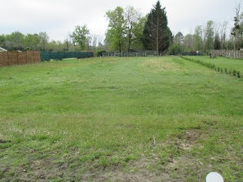 terrain à Bazas (33)