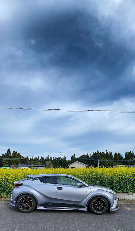 C-HRのiPhone撮影・C-HR・鹿児島・菜の花と愛車・目指せPickUpCarsに関するカスタム事例の投稿画像2枚目