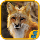 应用程序下载 Wild Animals Puzzle Games: WildLife Ameri 安装 最新 APK 下载程序