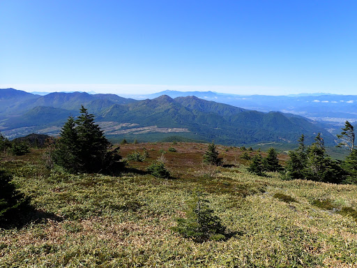 高原の雰囲気