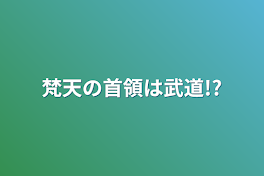 梵天の首領は武道!?