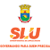 SIMLU icon