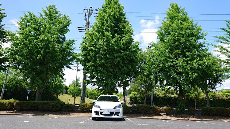 ヴィッツRS G'sの新緑・公休に関するカスタム事例の投稿画像1枚目