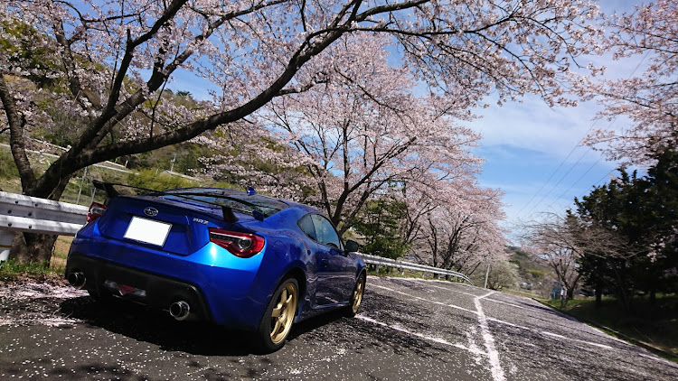 BRZの桜・桜とコラボ・桜と愛車・DRAMBEENIE・キモオタブルーに関するカスタム事例の投稿画像3枚目