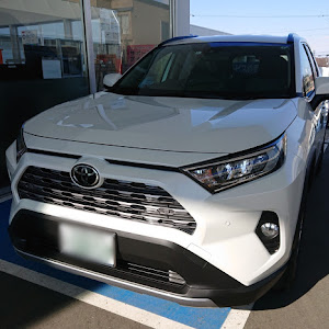 RAV4 MXAA54