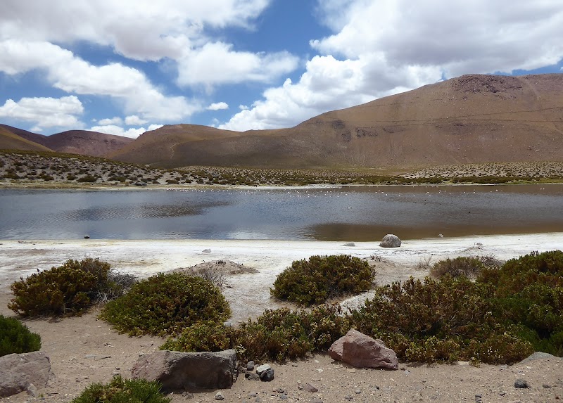 GEISERES DEL TATIO. ATACAMA - CHILE: Atacama ( con extensión a Uyuni) y Carretera Austral (49)