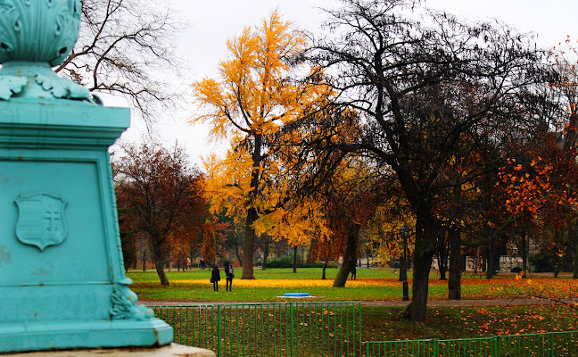 Si sta come d' autunno sugli alberi le foglie. di Consuelo Meschini