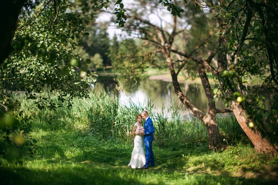 Fotografo di matrimoni Igor Kolos (tomak). Foto del 22 aprile 2015