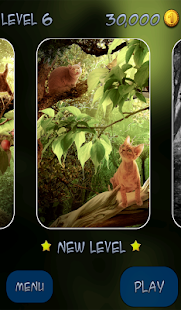 Lastest Hidden Pieces: Cats Island APK for PC