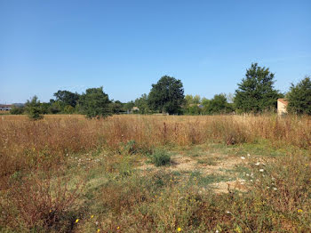 terrain à Saint-Jean-de-Rives (81)