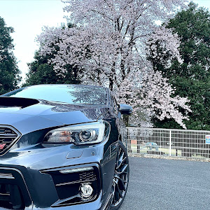 WRX S4 VAG