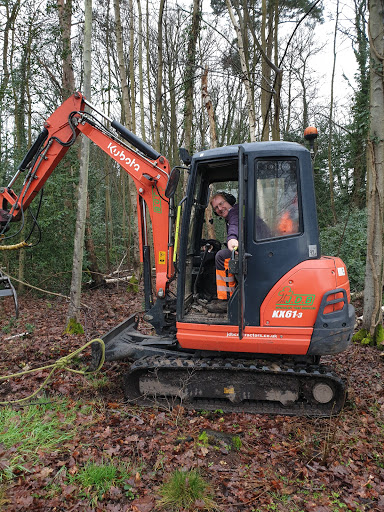 Oak tree removal