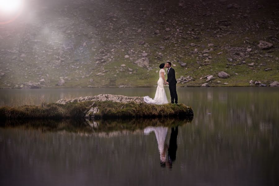 Photographe de mariage Ninel Taru (ninel). Photo du 1 avril 2019