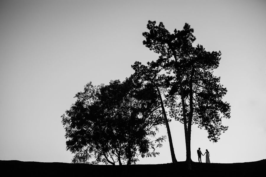 Fotograf ślubny Mihai Ruja (mrvisuals). Zdjęcie z 15 lutego 2018