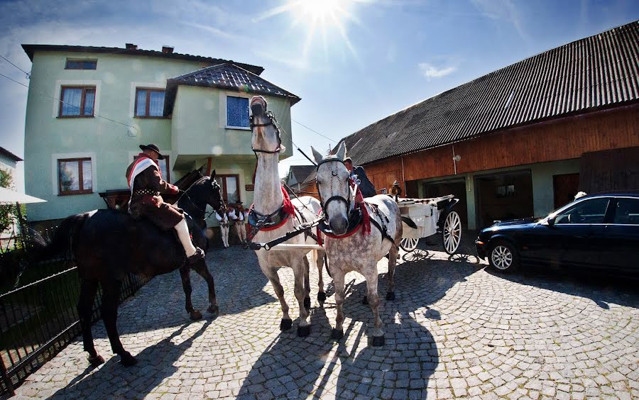 Fotógrafo de bodas Karolina Grzegorzek (karolinagrzegor). Foto del 27 de mayo 2016