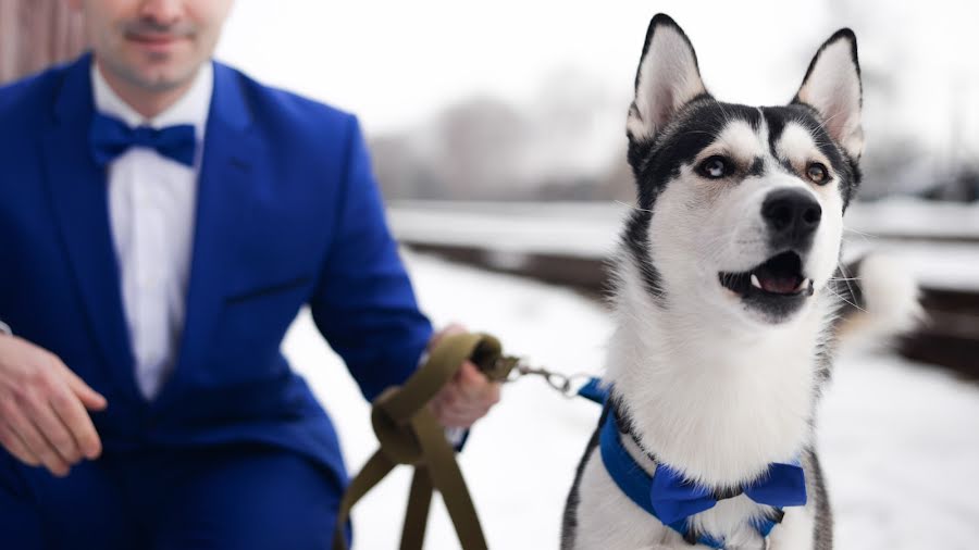 Fotógrafo de bodas Stas Bobrovickiy (bobrovitskii). Foto del 10 de diciembre 2018