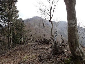 山頂はまだ見えず