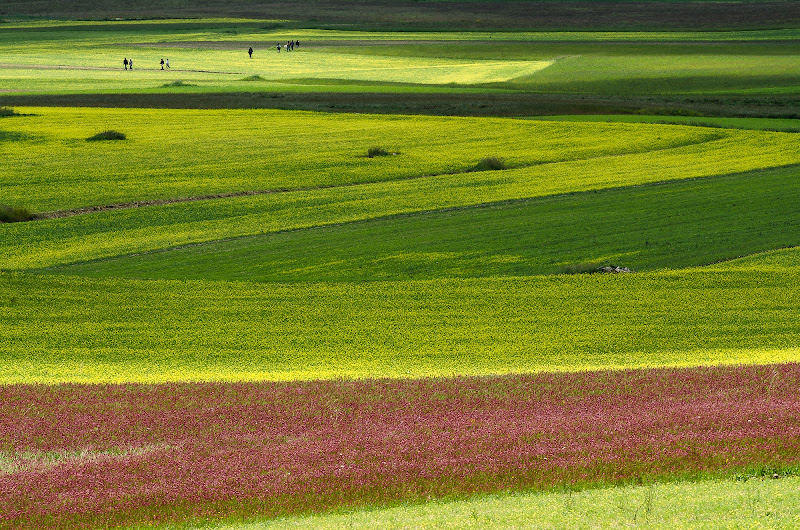 La tavolozza del pittore di Fiore Doncovio