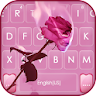 Aesthetic Pink Rose Keyboard B icon