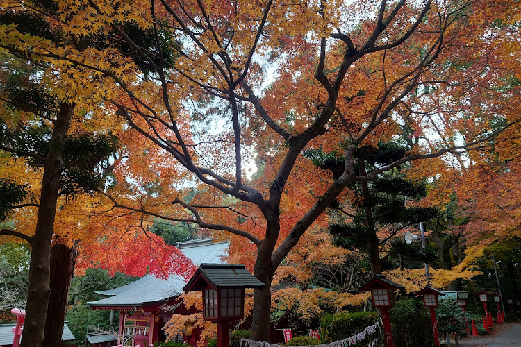 ムーヴの昨晩から色々あった……・締め出し注意・洗車・光の道　宮地獄神社⛩・fUSE飛ばしに関するカスタム事例の投稿画像8枚目