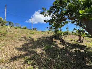 terrain à batir à La Montagne (974)