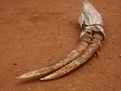 Four men were charged with illegal possession of ivory worth Sh1.6 million at the Makindu courts, June 19, 2017. /MUTUA KAMETI.