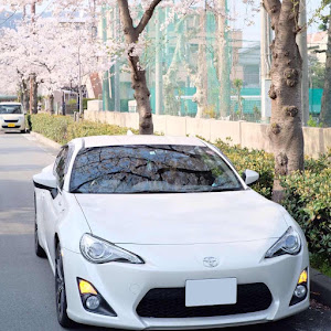 86 ZN6