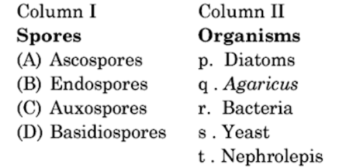 Fungi- Fungi (General)