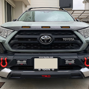 RAV4 MXAA54