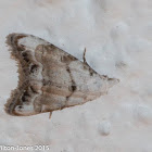 Jersey Black Arches