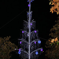 Albero di Natale/Piazza Unione Europea di 