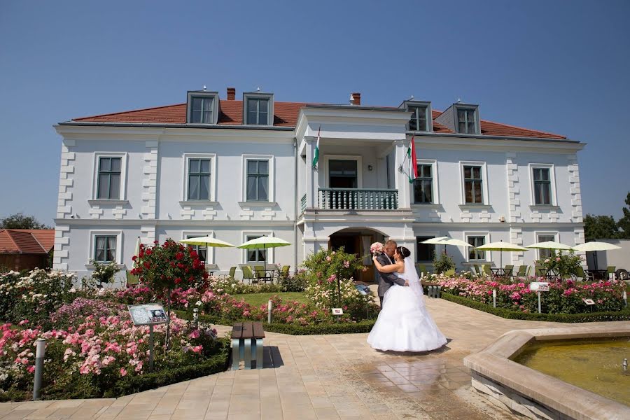 Wedding photographer János Balaton (balatonjanos). Photo of 3 March 2019