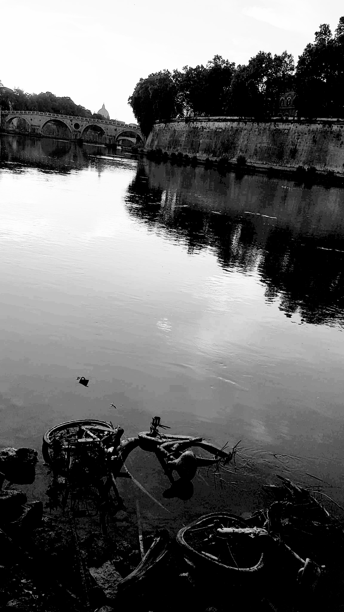 lungotevere di Vascolentina