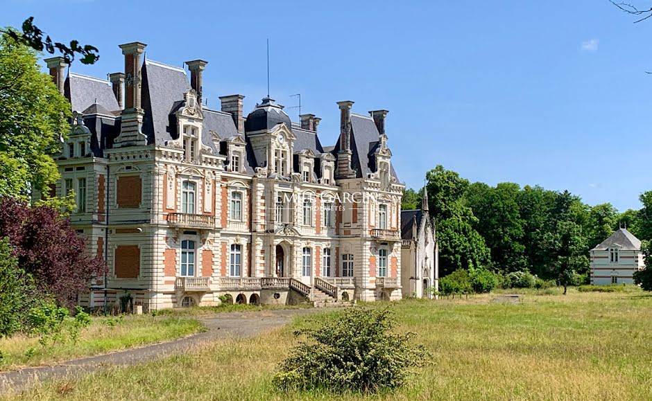 Vente château 30 pièces 1900 m² à La fleche (72200), 3 180 000 €