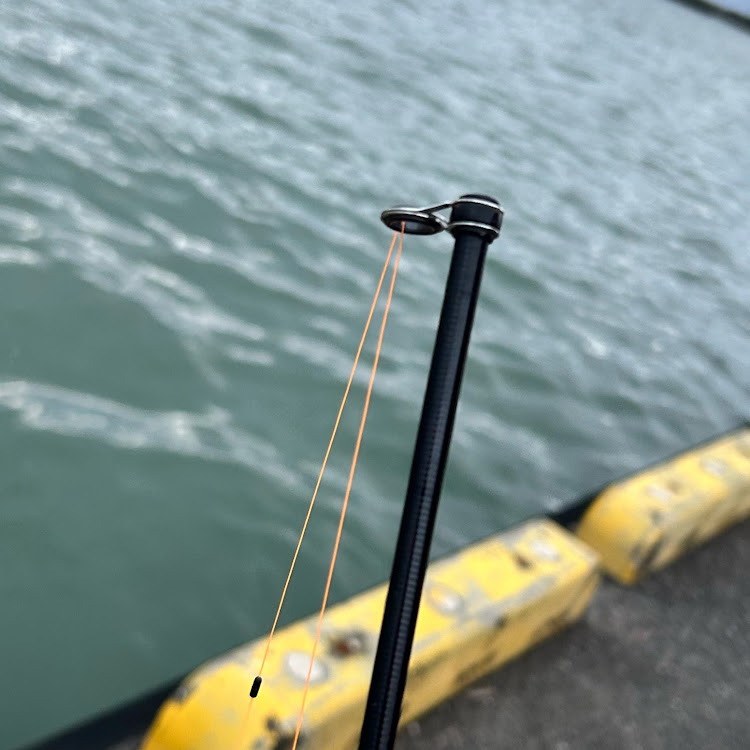 グラントゥーリズモの釣り・国際特級整備士ひろ・グランツーリズモサウンド・モデナサウンド・F430スパイダーサウンドに関するカスタム事例の投稿画像5枚目