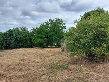 terrain à Camoël (56)