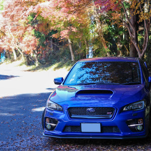 WRX STI