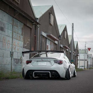86 ZN6