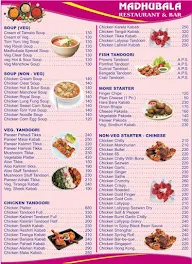 Madhubala Restaurant & Bar menu 3