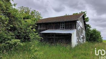 terrain à Dampierre (10)