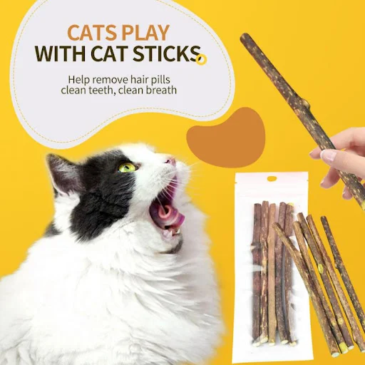 Natural Catnip Pet Cat Molar Toothpaste Stick Pet Cat Kitten Chew Toys Stick Fruit Matatabi Cat Snacks Sticks Pet Cleani