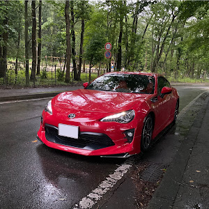 86 ZN6