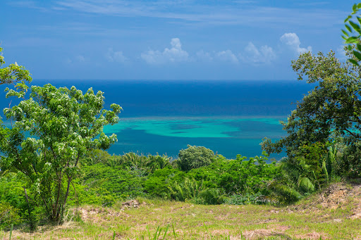 Seaside land 1