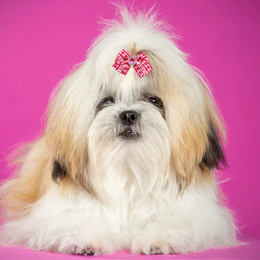 20PCS Red/Pink Series Dog Bows Valentine's Day Bows for Dogs Cute Cat Dog Bows for Rubber Band Pet Hair Bowknot Dog Acce